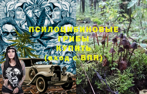 винт Алзамай