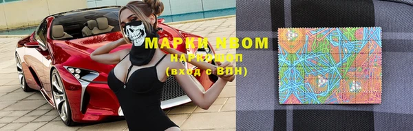 винт Алзамай